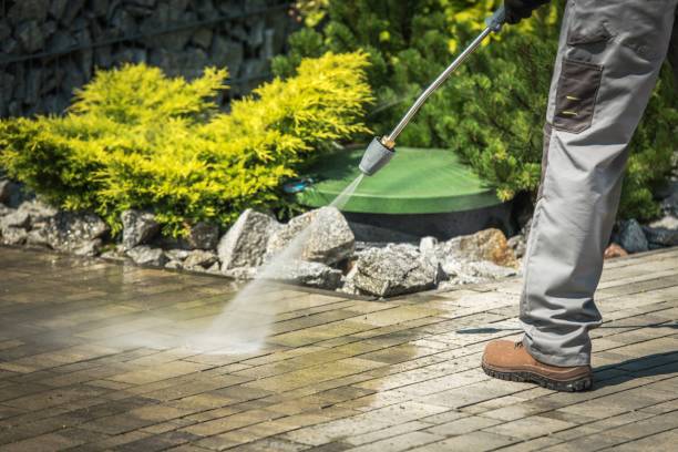 Best Solar Panel Cleaning  in Anna, IL